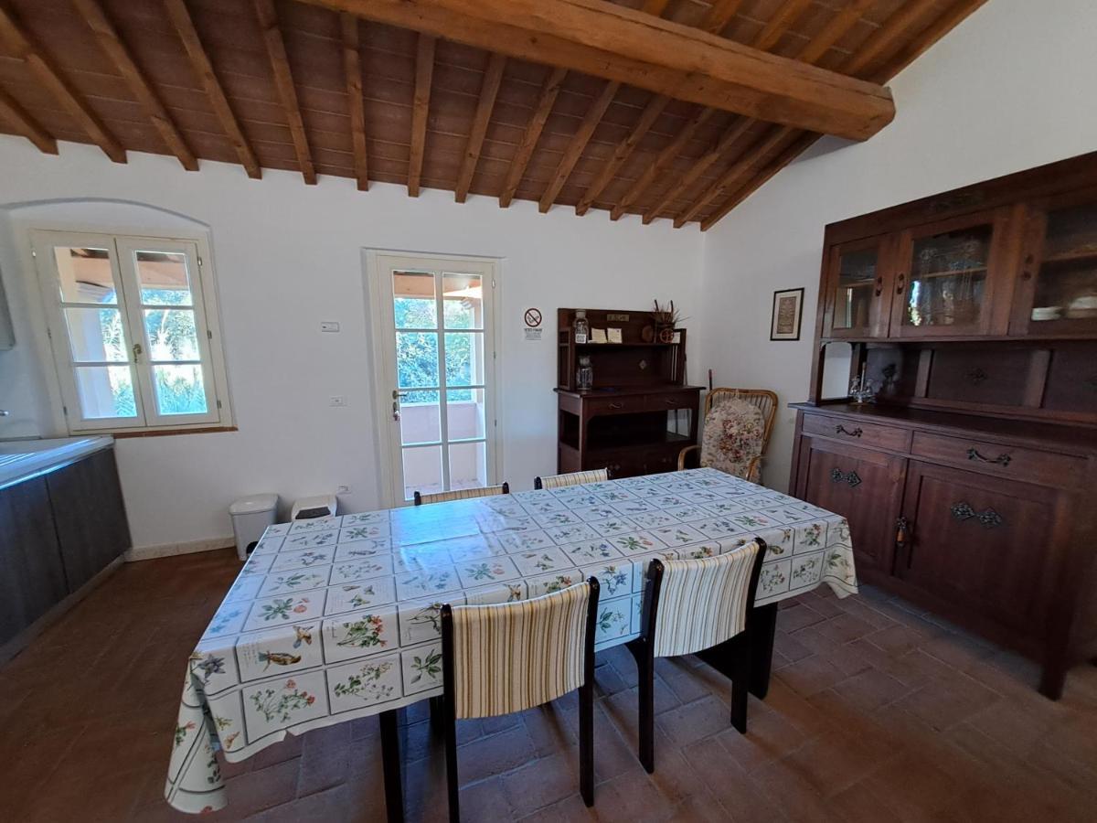 Casa Daria, Armonia Del Passato Nel Rispetto Della Natura Доноратико Екстериор снимка